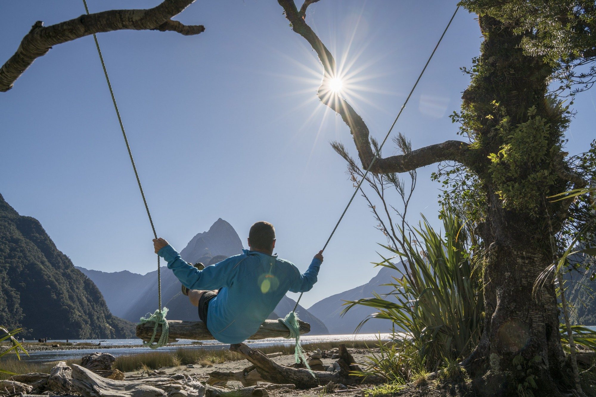 Milford Sound foreshore swing with Mitre Peak in the back ground and lots of sunshine