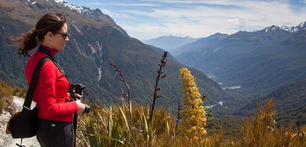 Enjoy learning about flora and fauna on your guided walk, Key Summit, Fiordland 