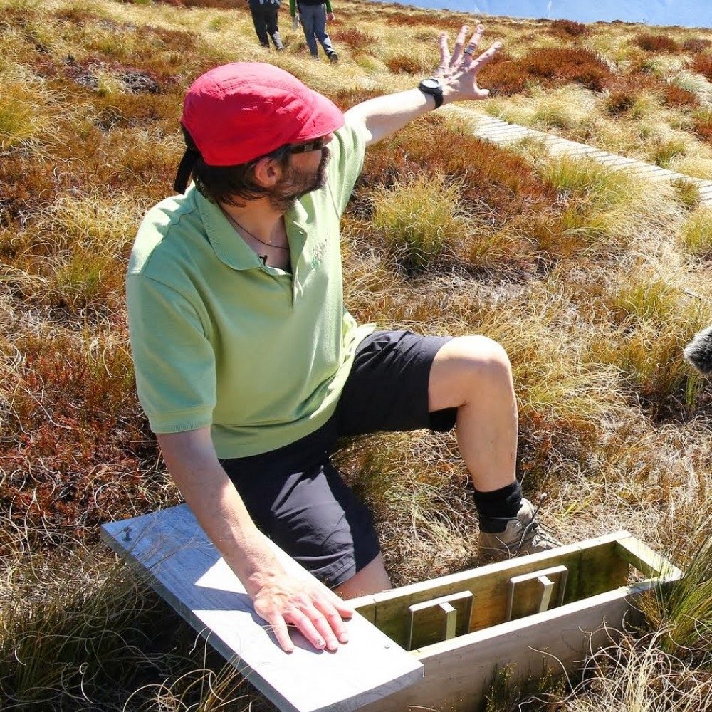 Guide Andrew explaining a stoat trap - Kepler Heli Hike
