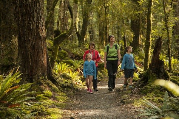 The Kepler half day walk offers a great family experience