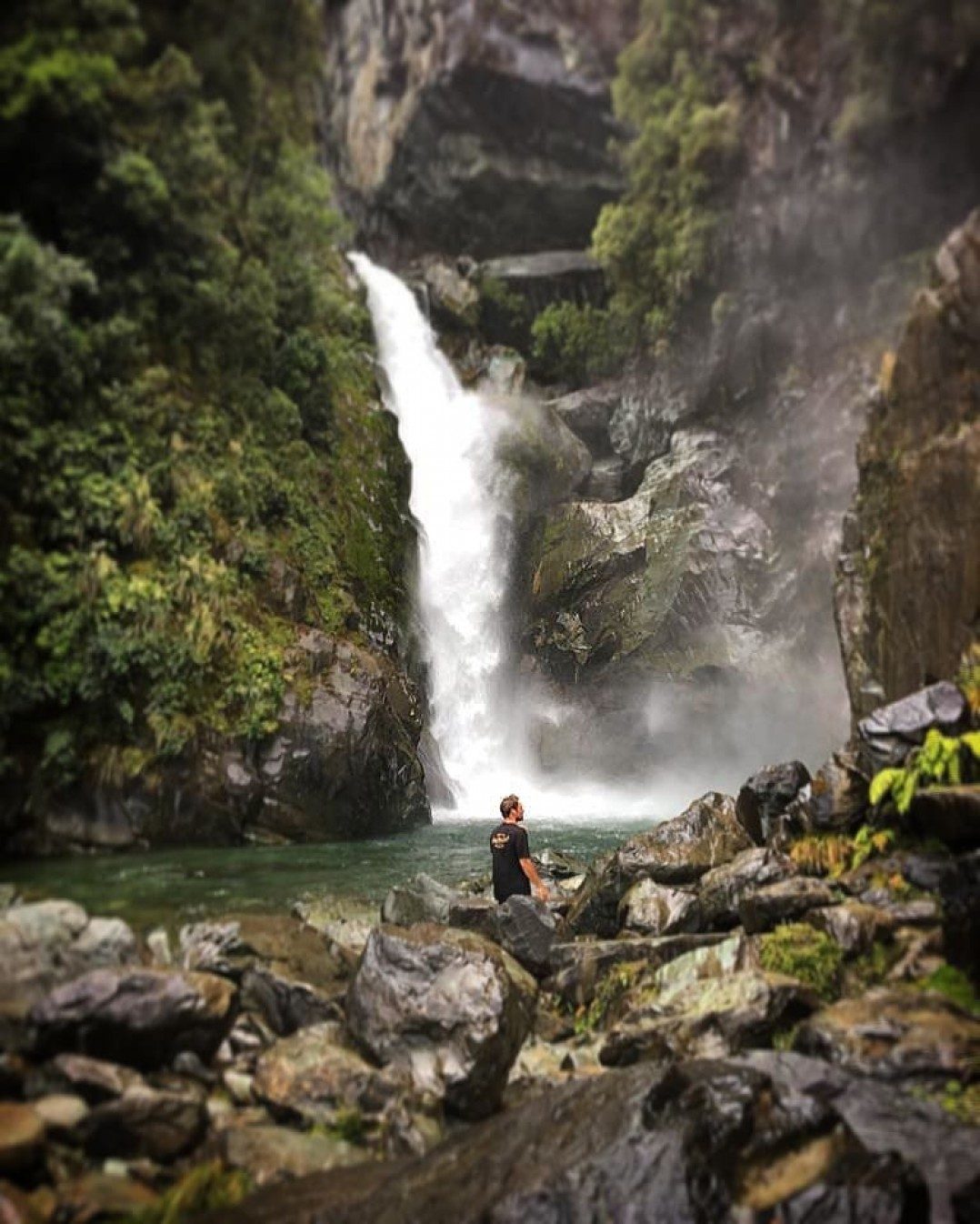 Hidden Waterfalls on the Hollyford Track, with Trips and Tramps