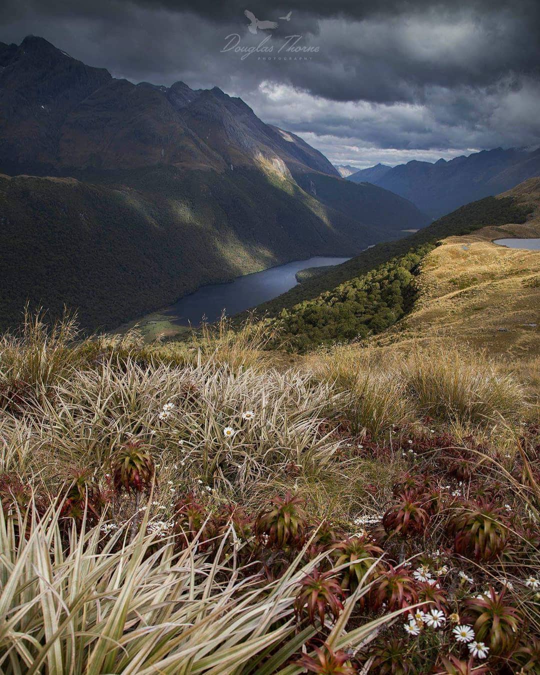 Explore the Routeburn Track, New Zealand with Trips and Tramps